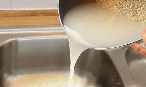 Non versare l’acqua di cottura del riso nel lavandino: ecco perché stai sbagliando